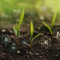 Fertilizantes